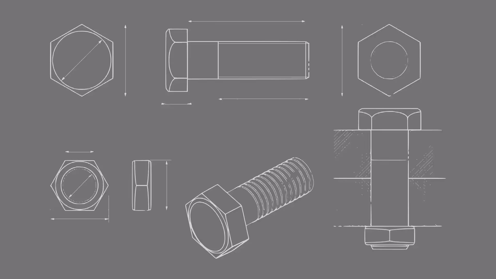 Technical diagram of the extruder screw design.